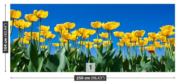 Fototapet Lalele Flori