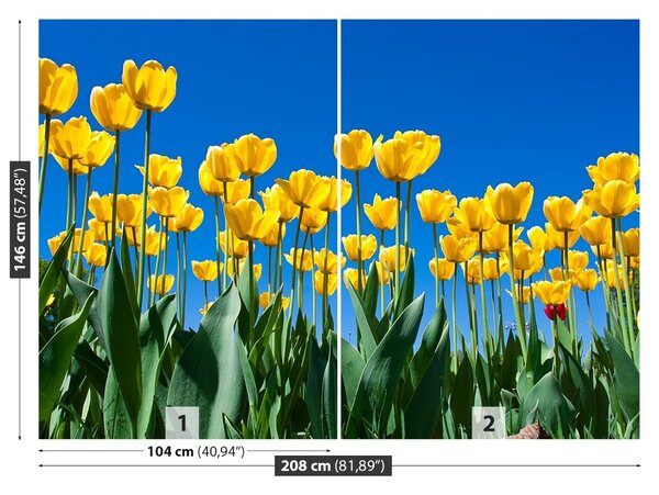 Fototapet Lalele Flori