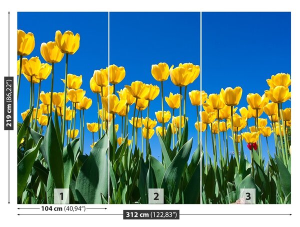 Fototapet Lalele Flori