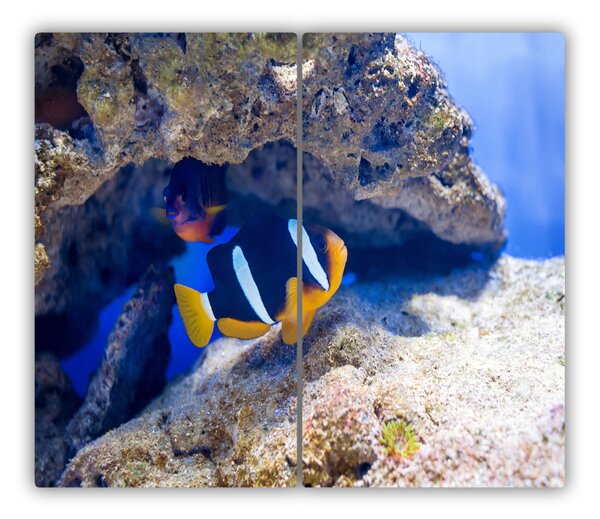 Tocator din sticla Peste tropical