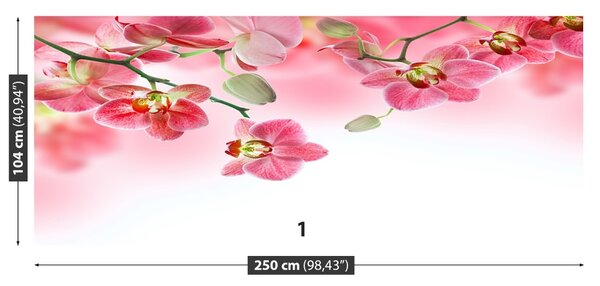 Fototapet Orhideele tropical