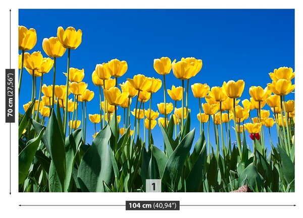 Fototapet Lalele Flori