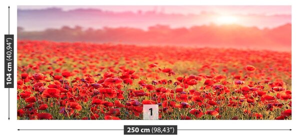Fototapet Câmp cu maci