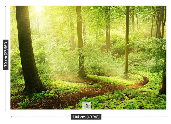 Fototapet Misty Forest