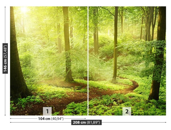 Fototapet Misty Forest