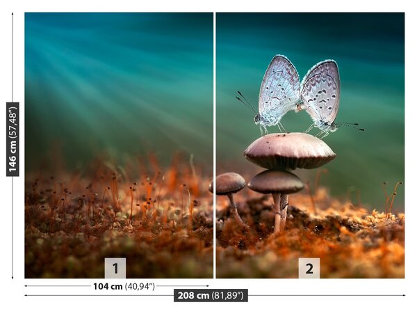 Fototapet Ciuperci ciuperci
