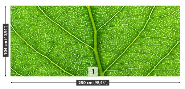 Fototapet Frunză verde