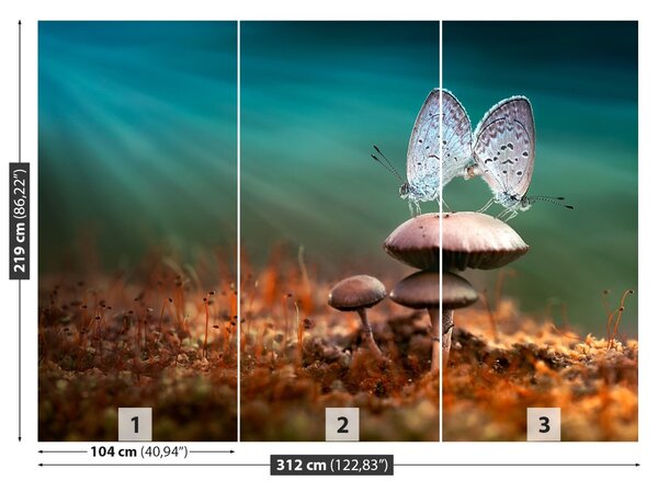 Fototapet Ciuperci ciuperci