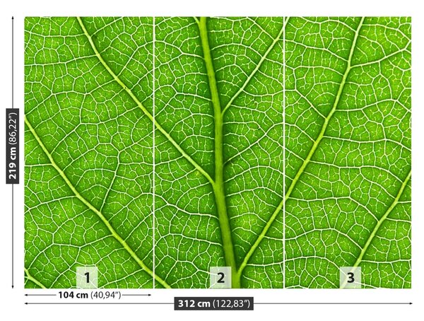 Fototapet Frunză verde