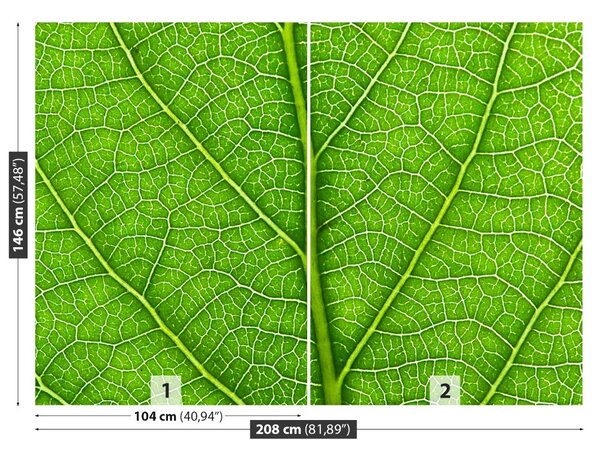 Fototapet Frunză verde