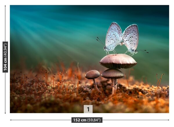 Fototapet Ciuperci ciuperci