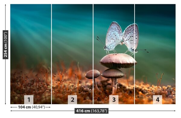 Fototapet Ciuperci ciuperci