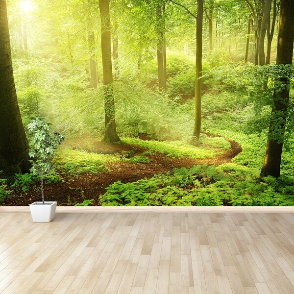 Fototapet Misty Forest