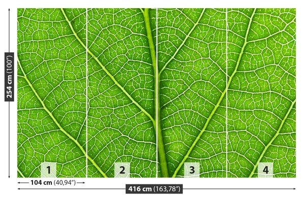 Fototapet Frunză verde