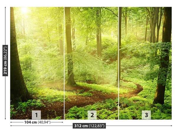 Fototapet Misty Forest