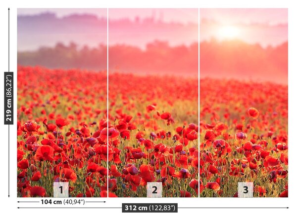 Fototapet Câmp cu maci
