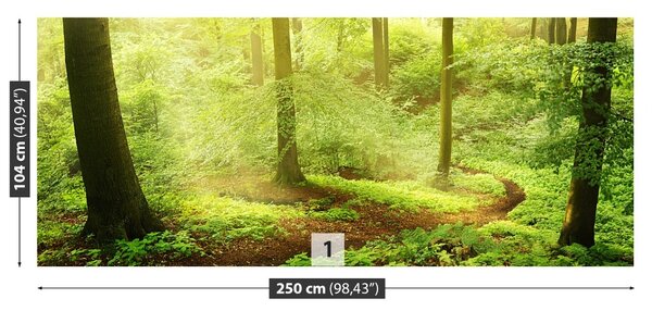 Fototapet Misty Forest