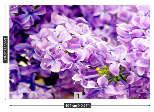 Fototapet Violet Flori