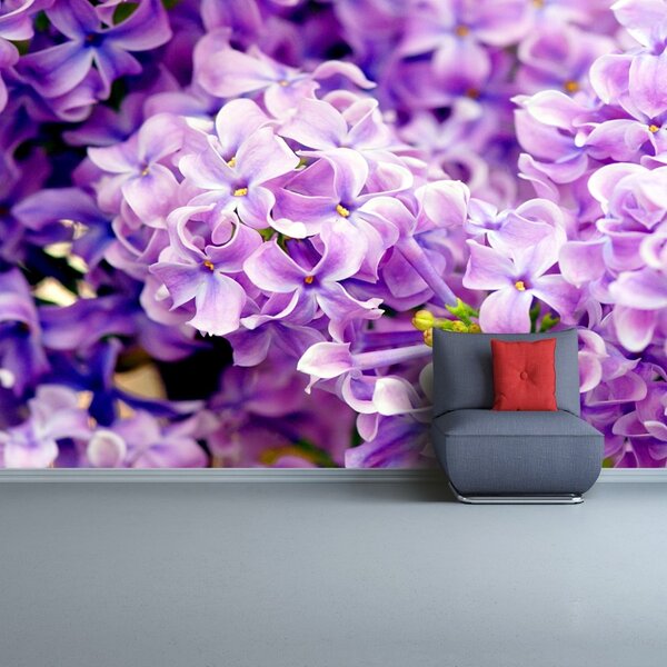 Fototapet Violet Flori