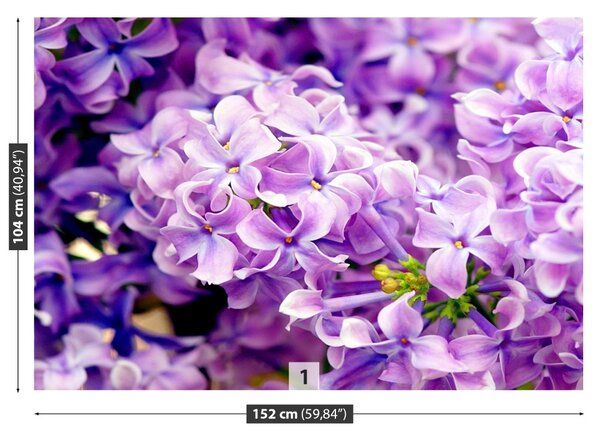 Fototapet Violet Flori