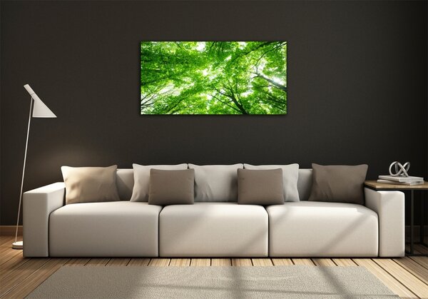Tablou sticlă Pădure verde