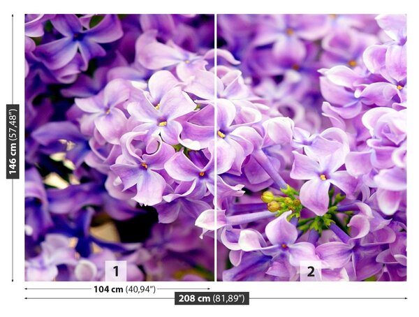 Fototapet Violet Flori