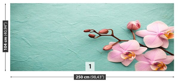 Fototapet Orhidee roz