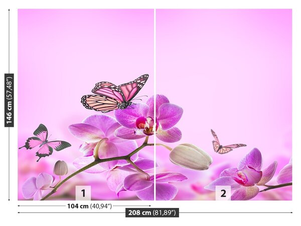 Fototapet Orhidee Butterfly