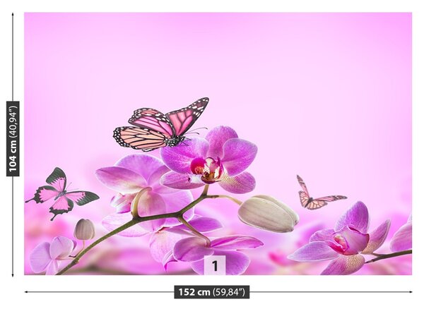 Fototapet Orhidee Butterfly