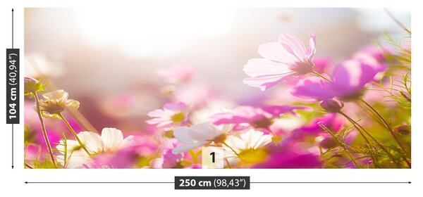 Fototapet margarete Flori