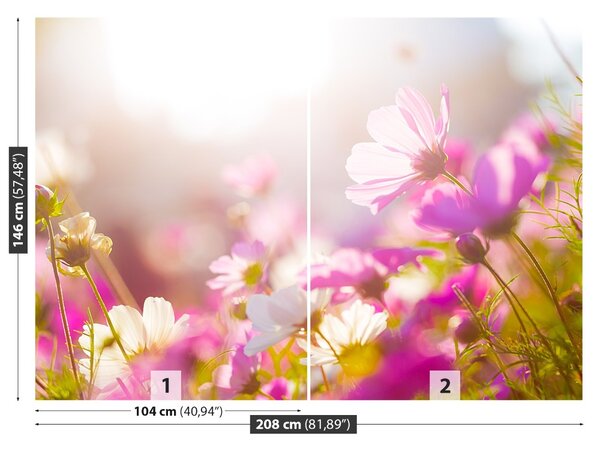 Fototapet margarete Flori