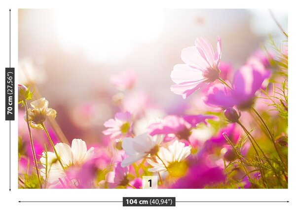 Fototapet margarete Flori