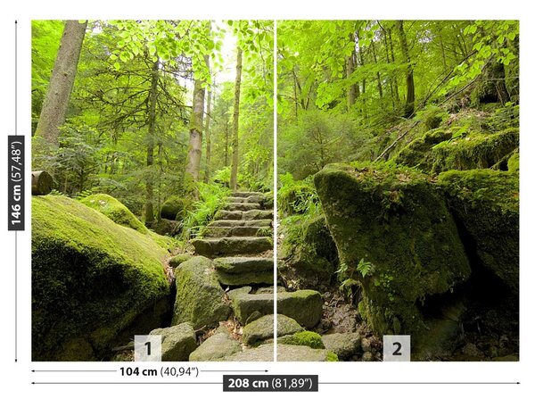 Fototapet Forest Trail