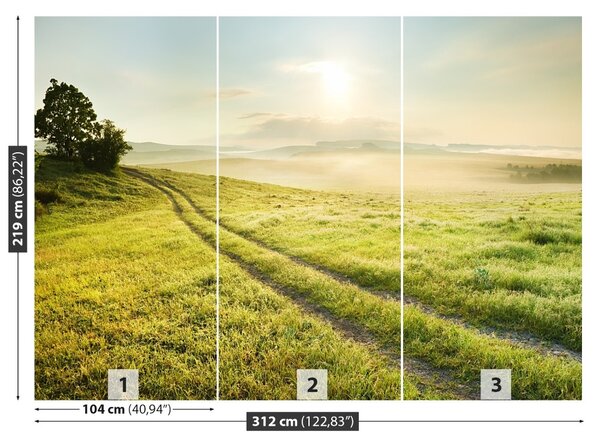 Fototapet Meadow Și Sunrise