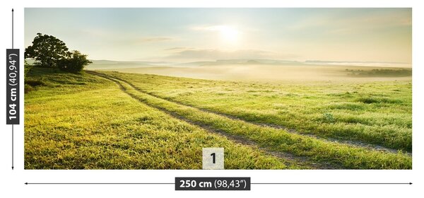 Fototapet Meadow Și Sunrise