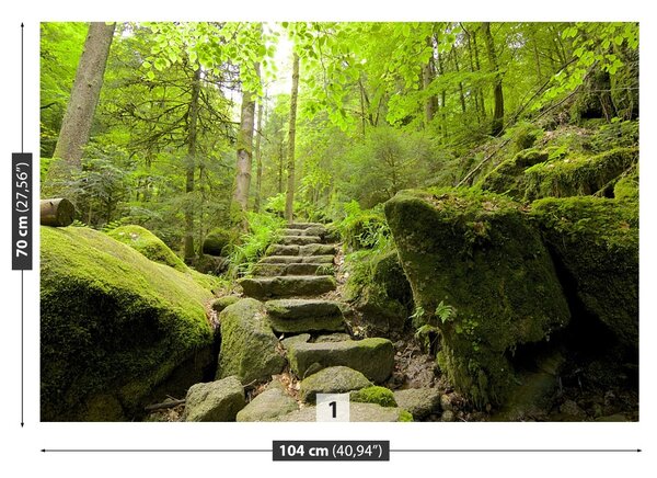 Fototapet Forest Trail