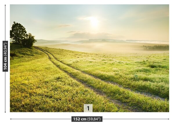 Fototapet Meadow Și Sunrise