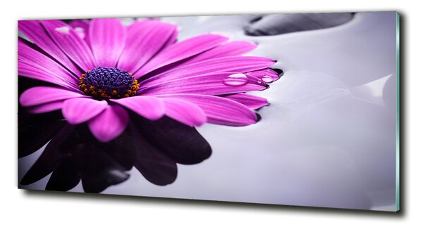 Tablou sticlă gerbera