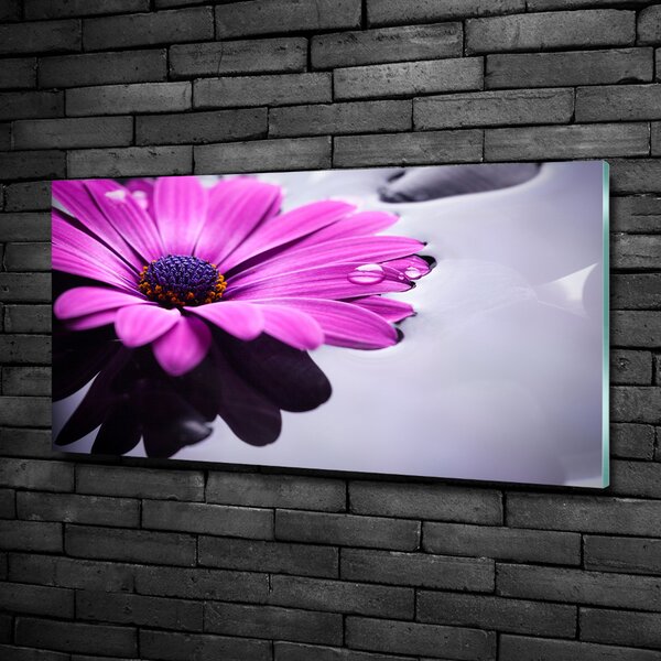 Tablou sticlă gerbera