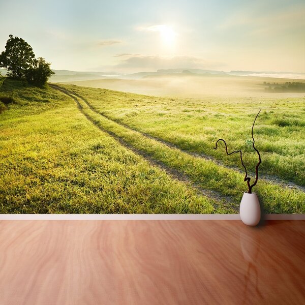 Fototapet Meadow Și Sunrise