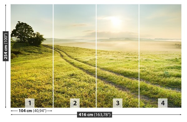 Fototapet Meadow Și Sunrise