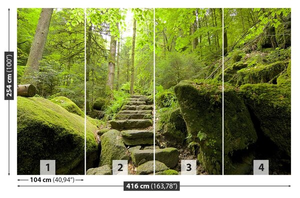 Fototapet Forest Trail
