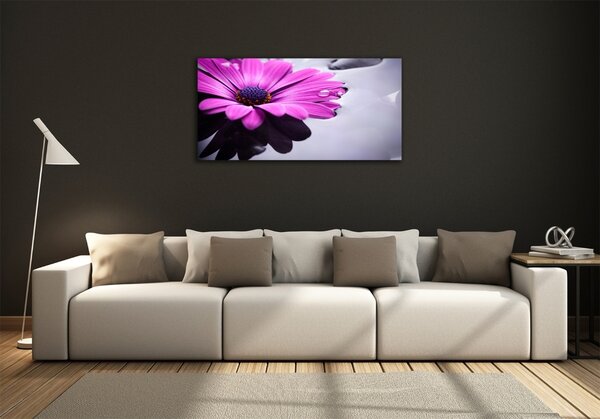 Tablou sticlă gerbera