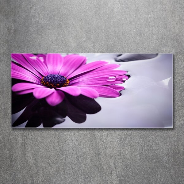 Tablou sticlă gerbera