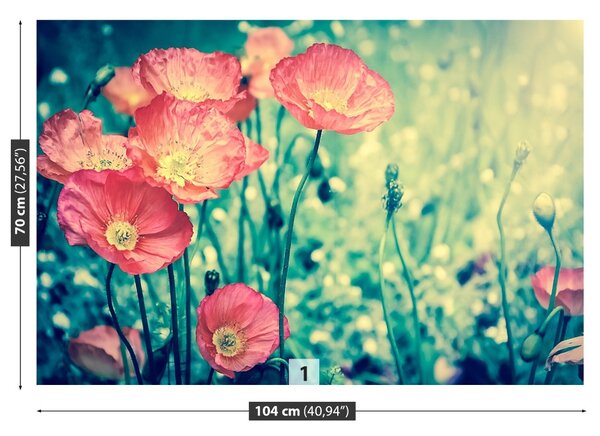 Fototapet Vintage Maci