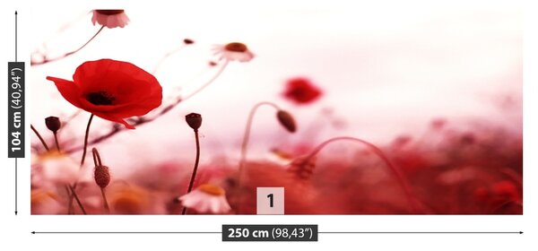 Fototapet mac