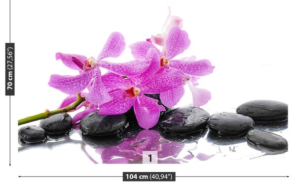 Fototapet roz Orhidee