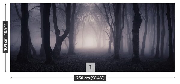 Fototapet Padure intunecata
