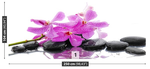 Fototapet roz Orhidee