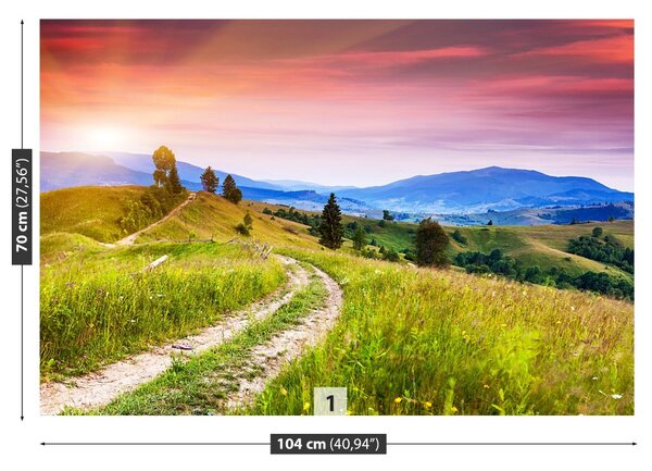 Fototapet înflorite Hills